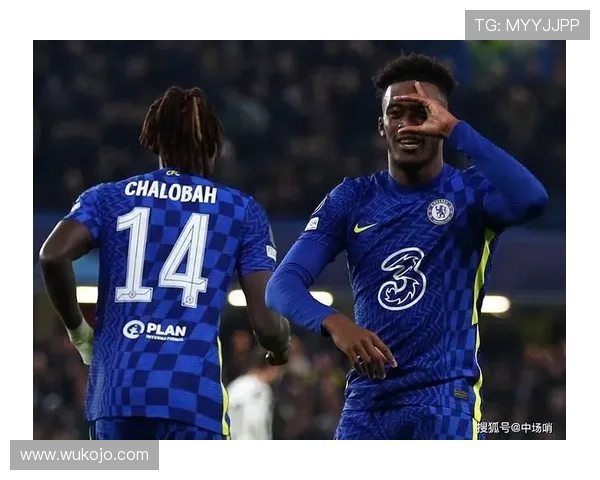 切尔西官方宣布卡库塔加盟拉里萨